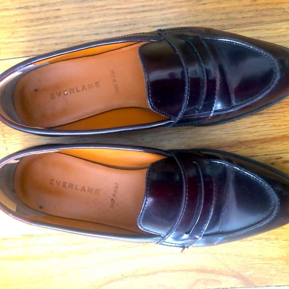 Everlane oxblood penny loafers